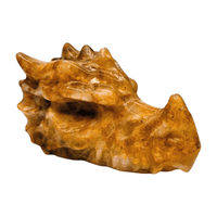 Golden Healer Quartz Dragon Head