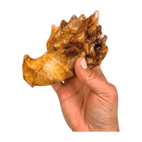 Golden Healer Quartz Dragon Head