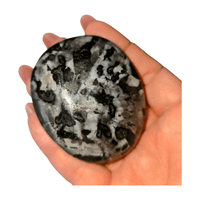 Mystic Merlinite (Indigo Gabbro) Palm Stone