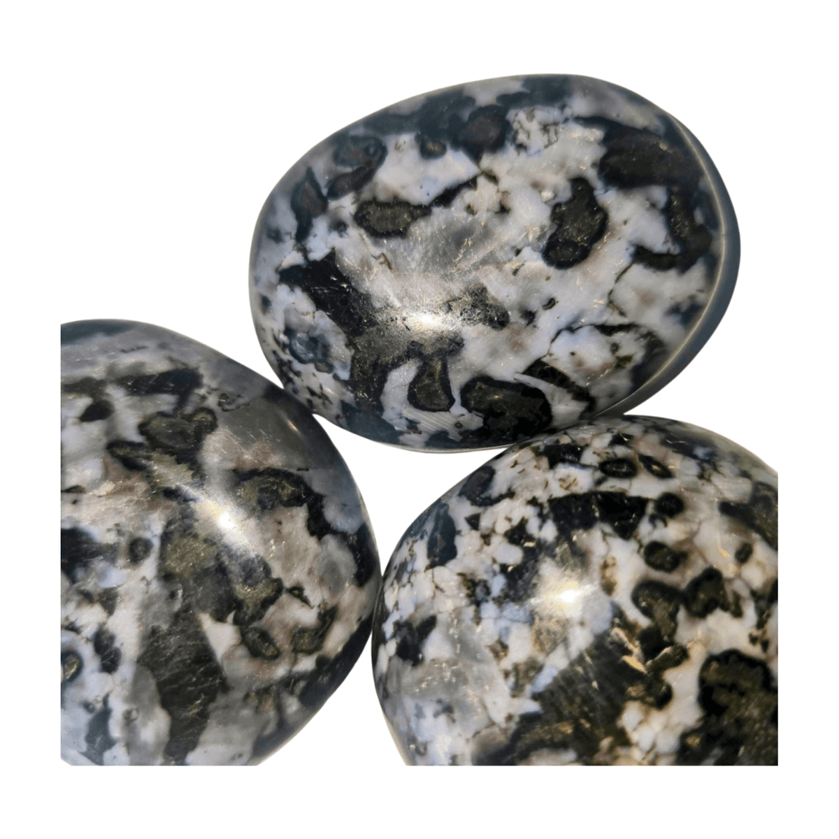 Mystic Merlinite (Indigo Gabbro) Palm Stone