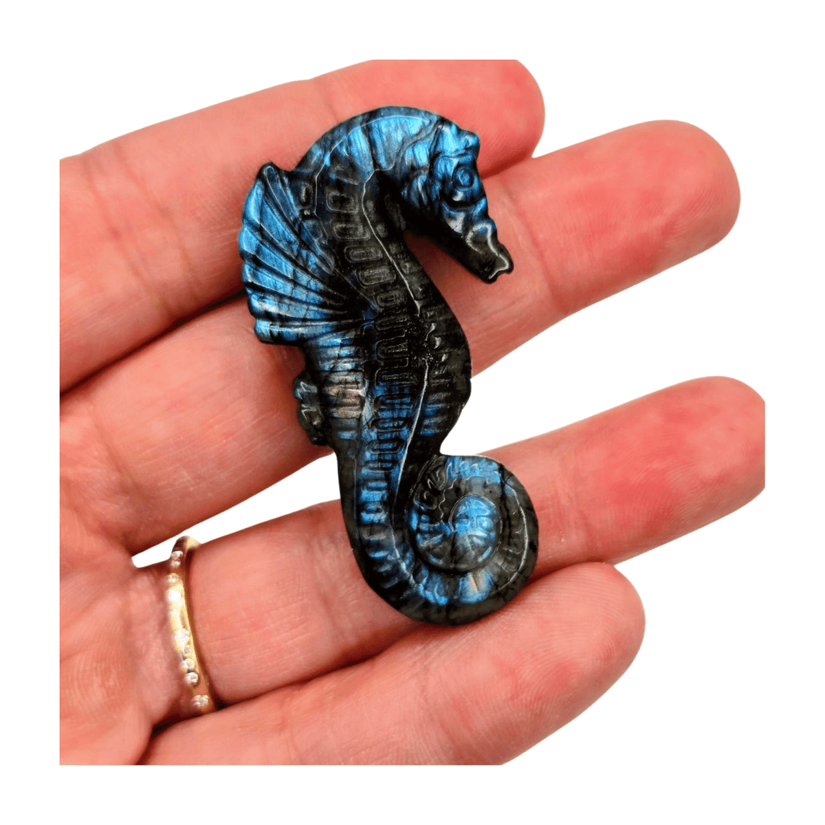 Labradorite Seahorse
