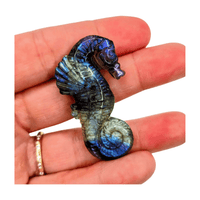 Labradorite Seahorse