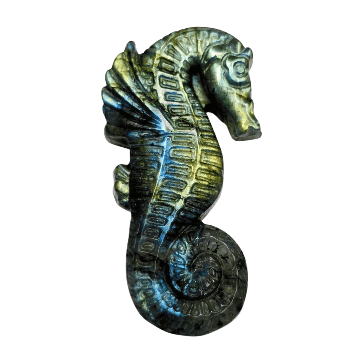 Labradorite Seahorse