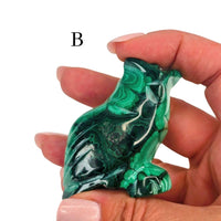 Malachite Owl