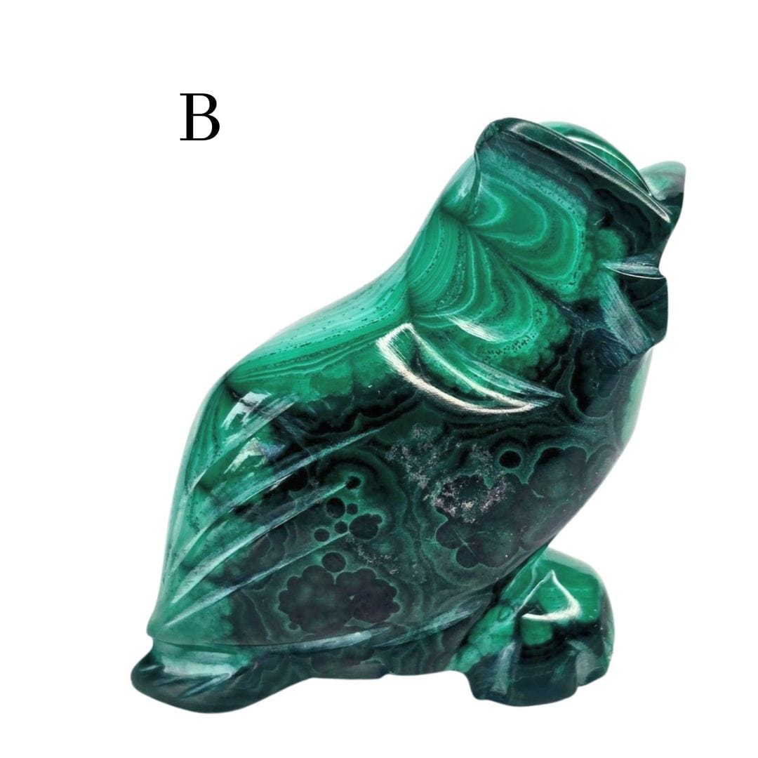 Malachite Owl