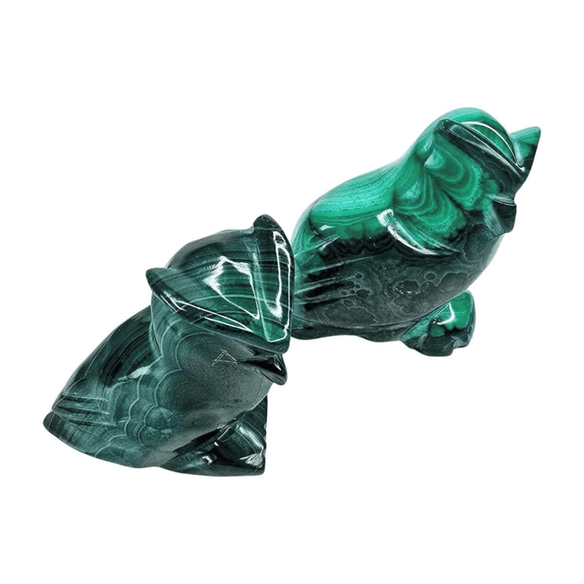 Malachite Owl