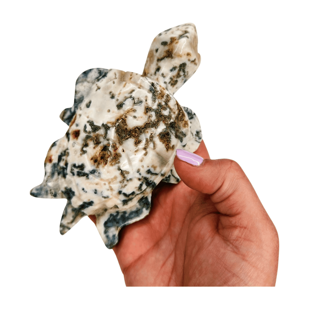 Moss Agate Turtle - Large