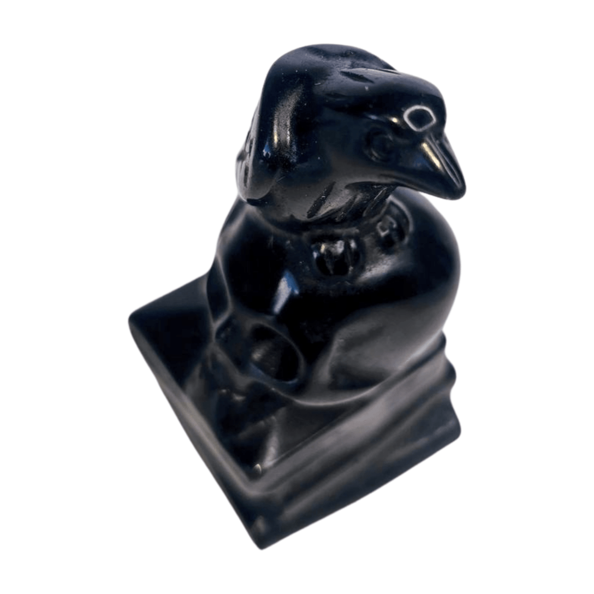 Obsidian Raven with Books