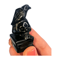 Obsidian Raven with Books