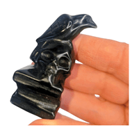 Obsidian Raven with Books