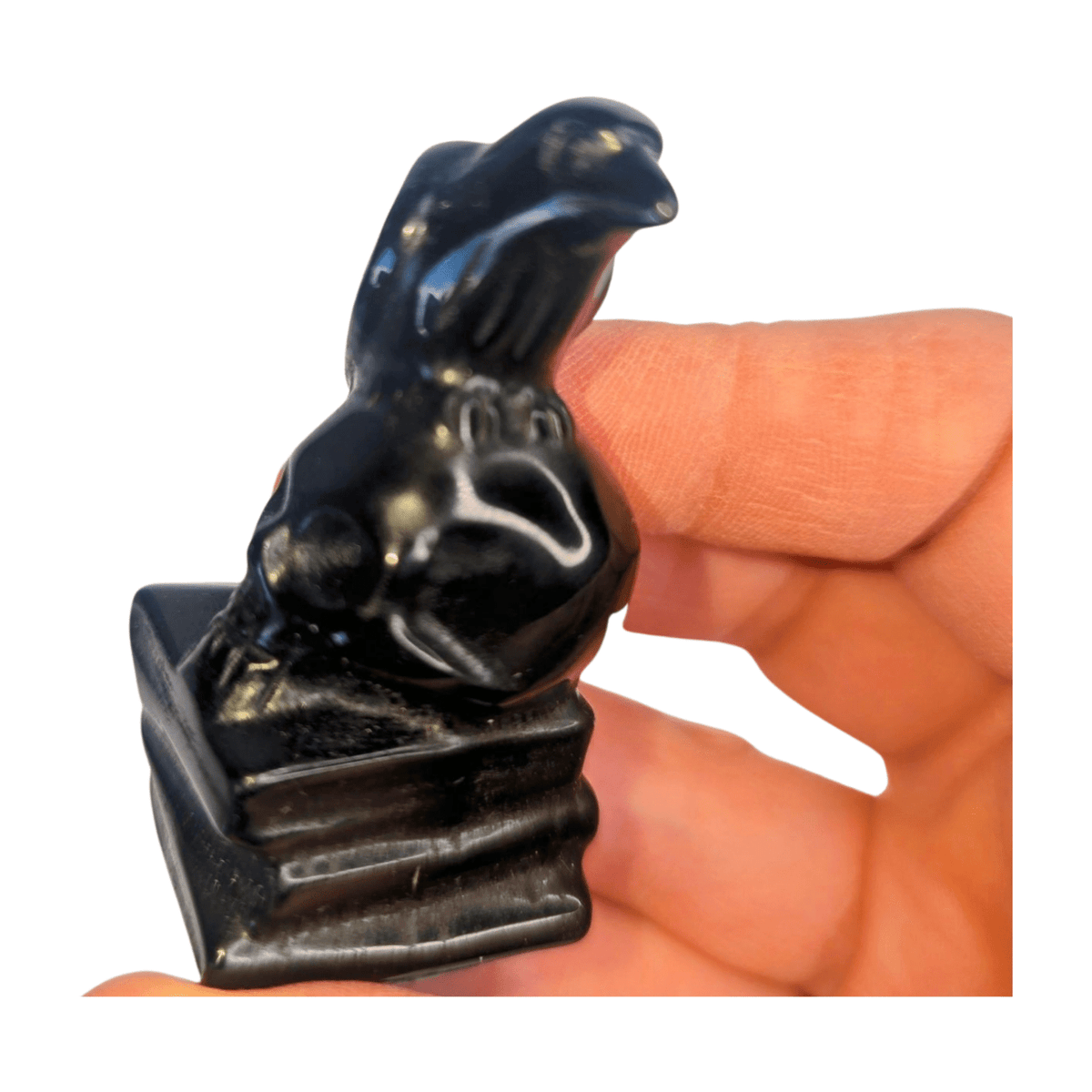 Obsidian Raven with Books