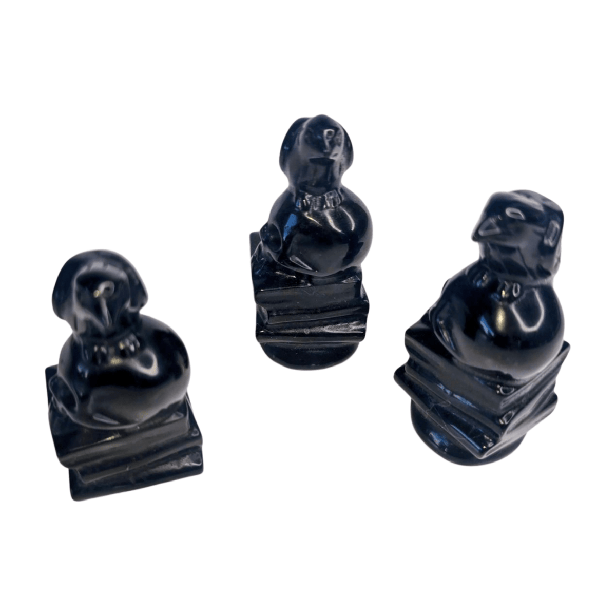 Obsidian Raven with Books