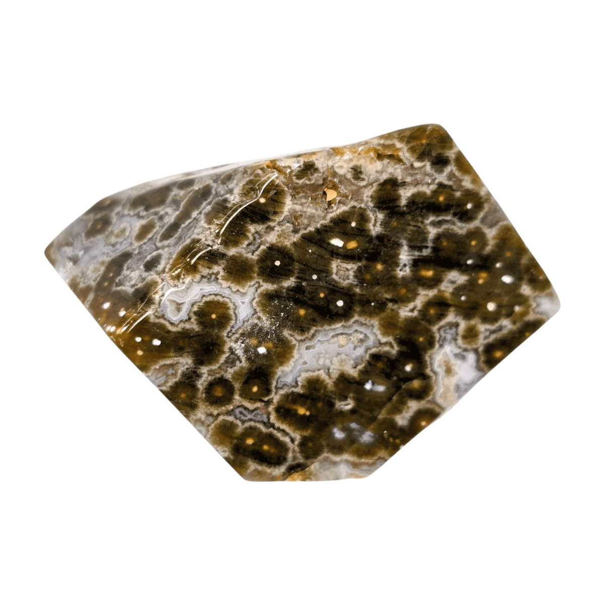 Ocean Jasper Free Form - Hand Held