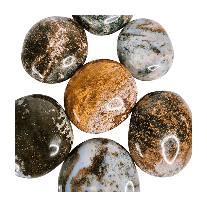 Ocean Jasper Palm Stone