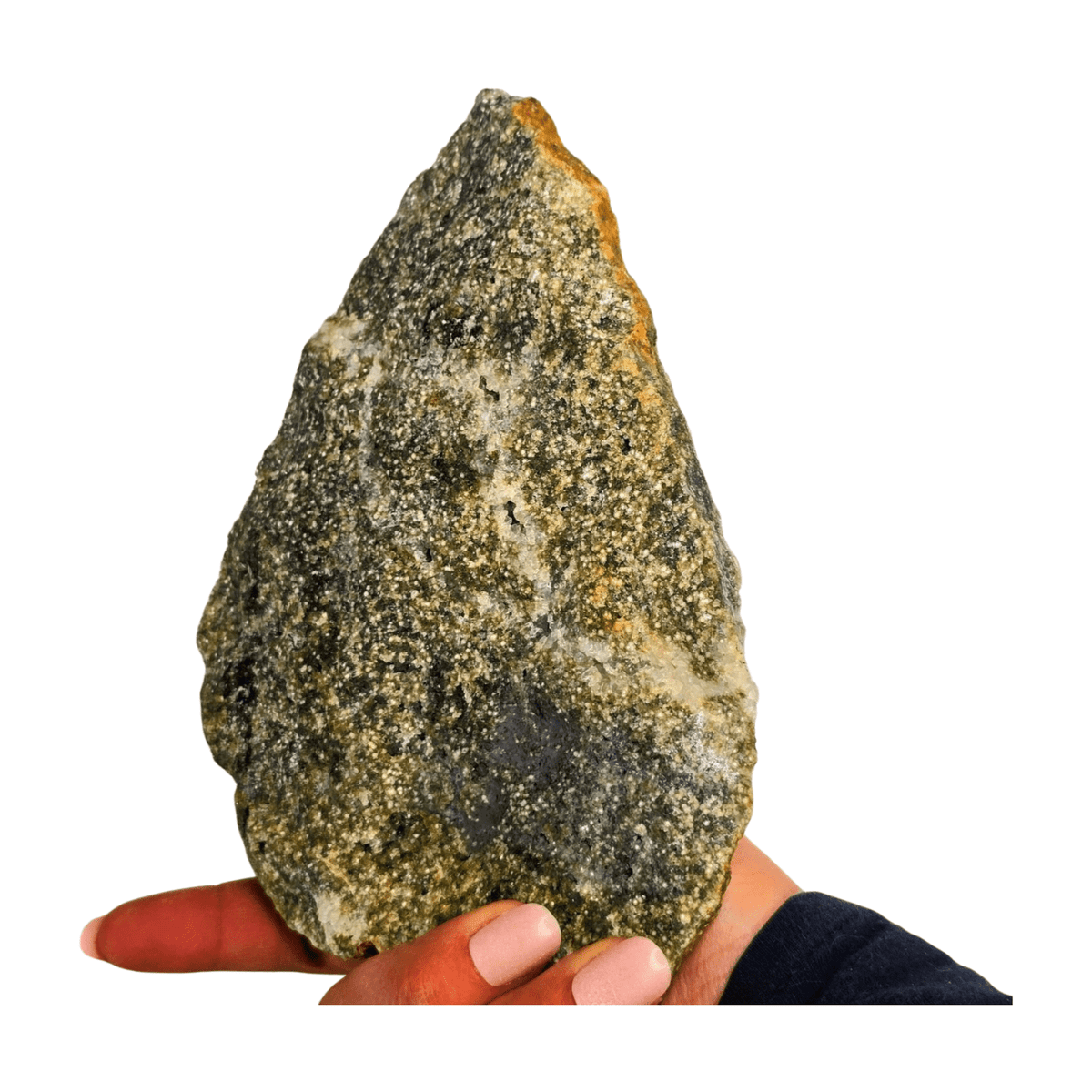 Oolitic Limestone Polished Slice