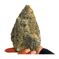 Oolitic Limestone Polished Slice