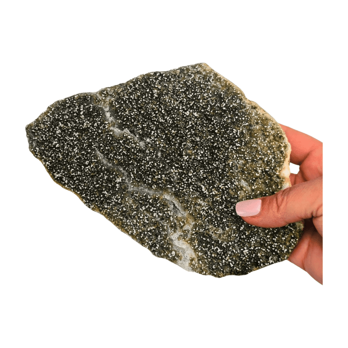 Oolitic Limestone Polished Slice