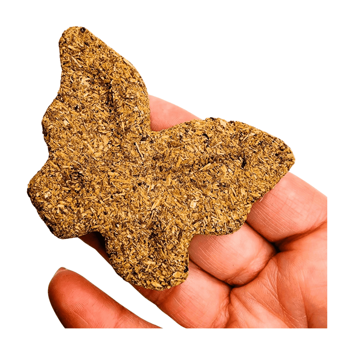 Palo Santo Butterfly