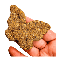 Palo Santo Butterfly