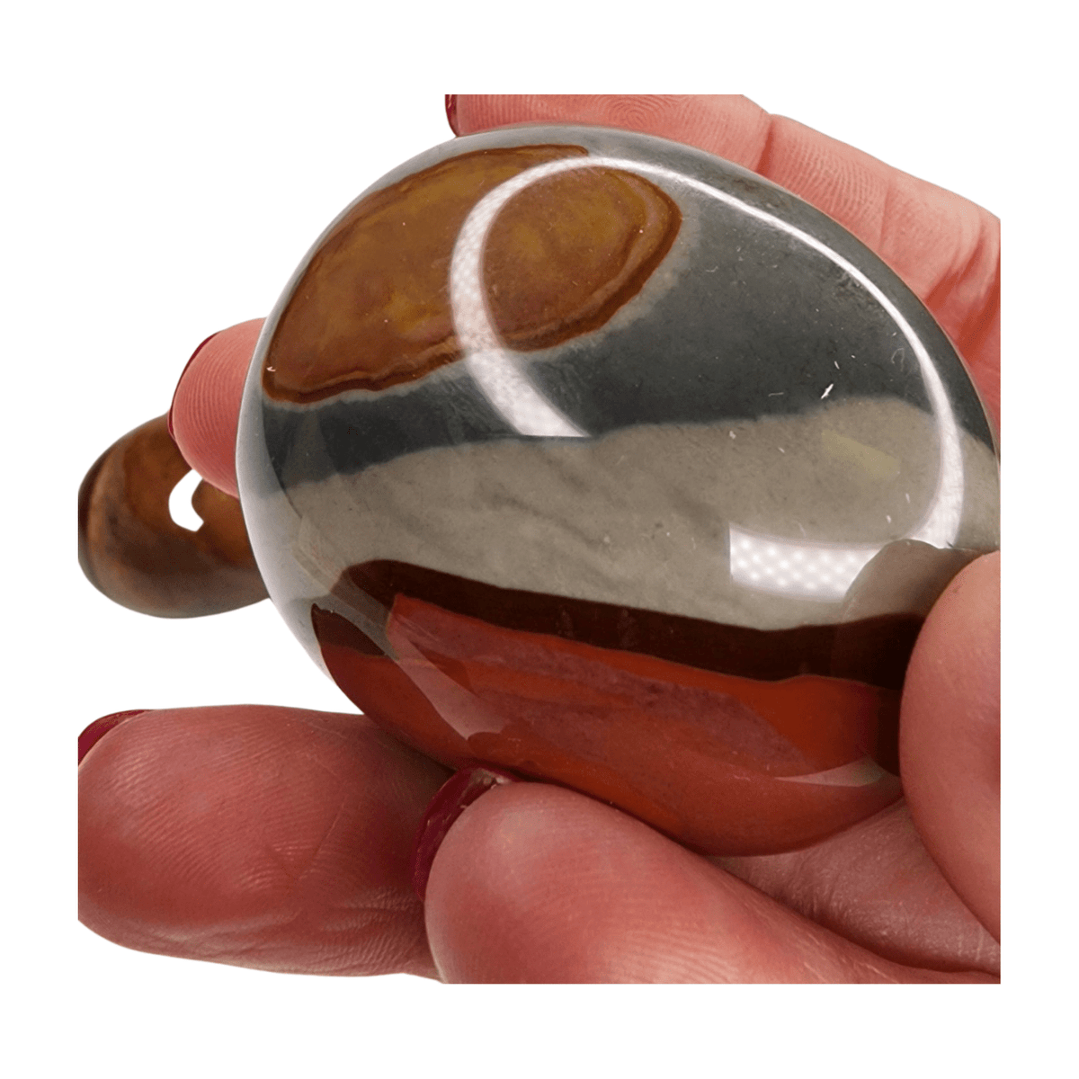 Polychrome Jasper Palm