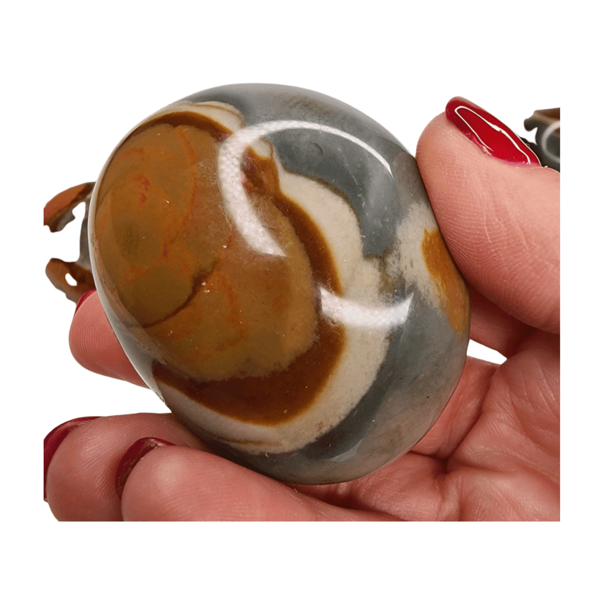 Polychrome Jasper Palm
