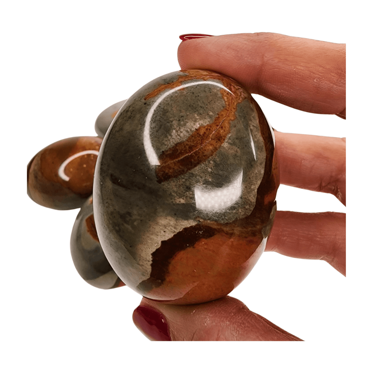 Polychrome Jasper Palm