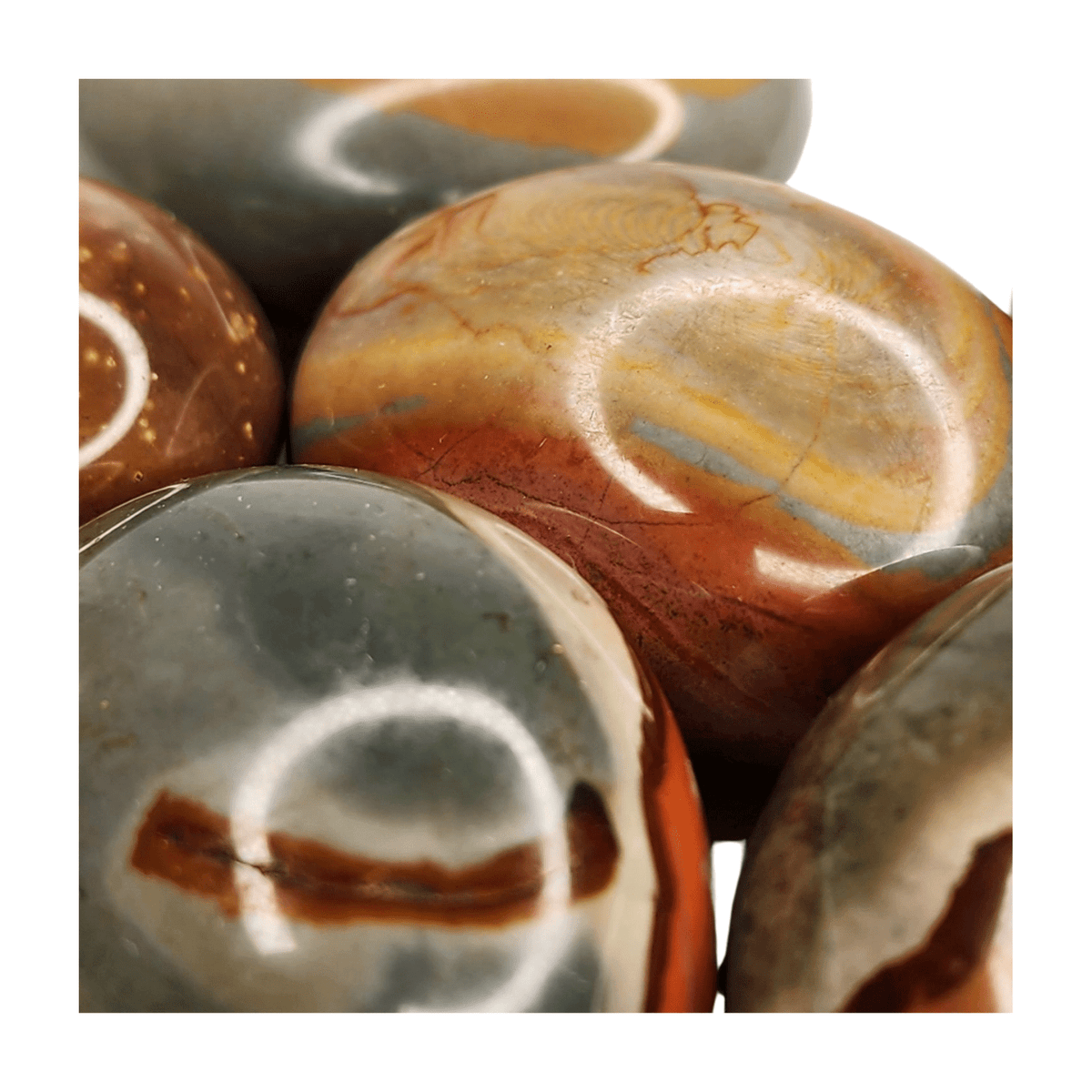 Polychrome Jasper Palm