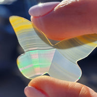 Rainbow Iris Agate Carving - Butterfly