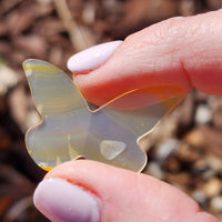Rainbow Iris Agate Carving - Butterfly