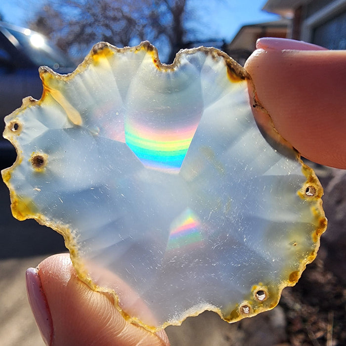 Rainbow Iris Agate Slice