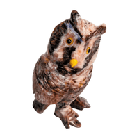 Brazilian Rainbow Calcite Owl