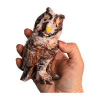 Brazilian Rainbow Calcite Owl