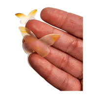 Rainbow Iris Agate Carving - Butterfly