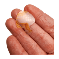 Rainbow Iris Agate Carving - Butterfly