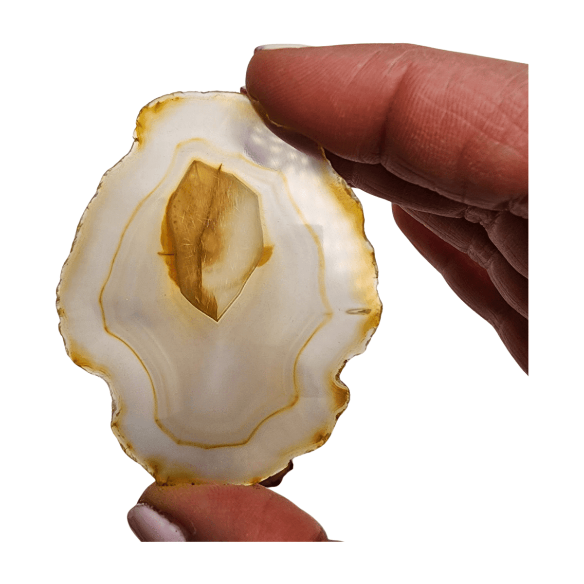 Rainbow Iris Agate Slice