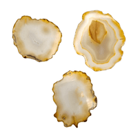 Rainbow Iris Agate Slice