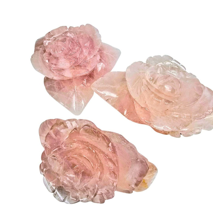 Rose Quartz Rose