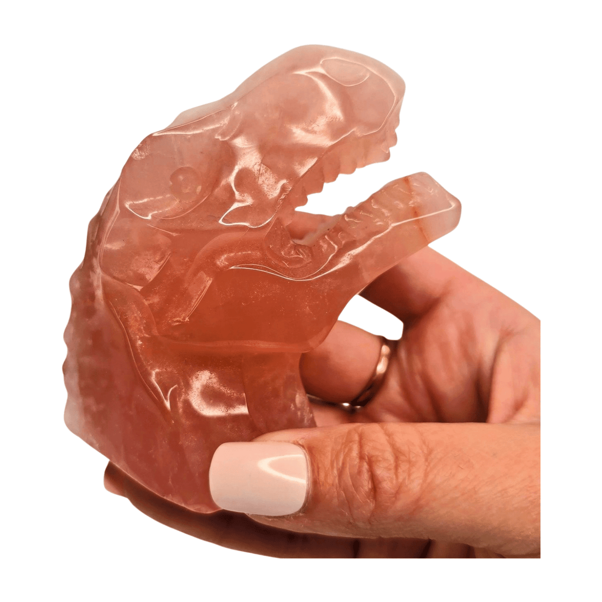 Rose Quartz T-Rex