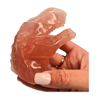 Rose Quartz T-Rex