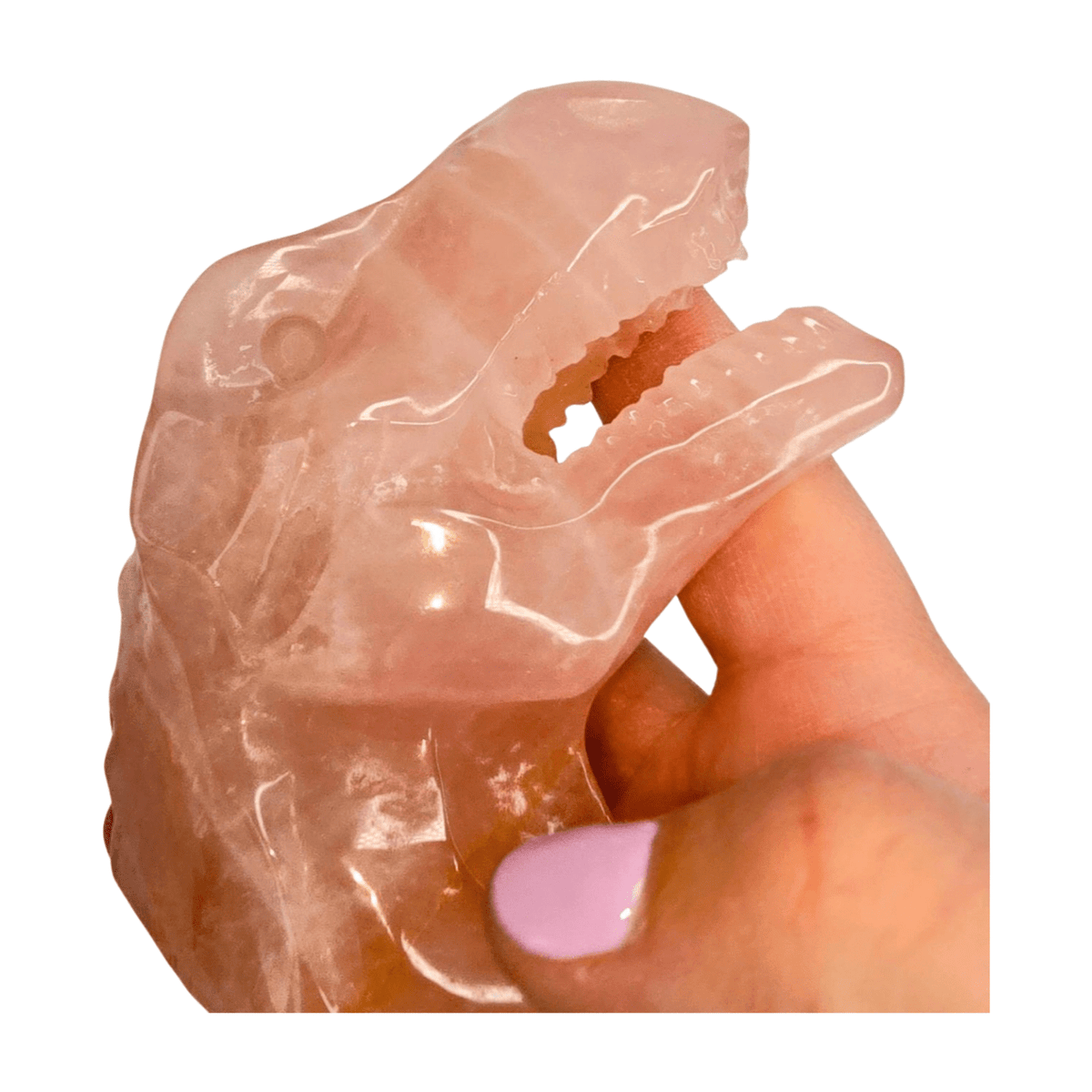 Rose Quartz T-Rex