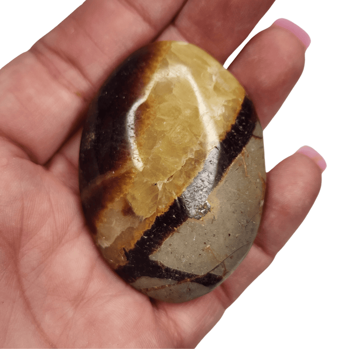 Septarian Palm