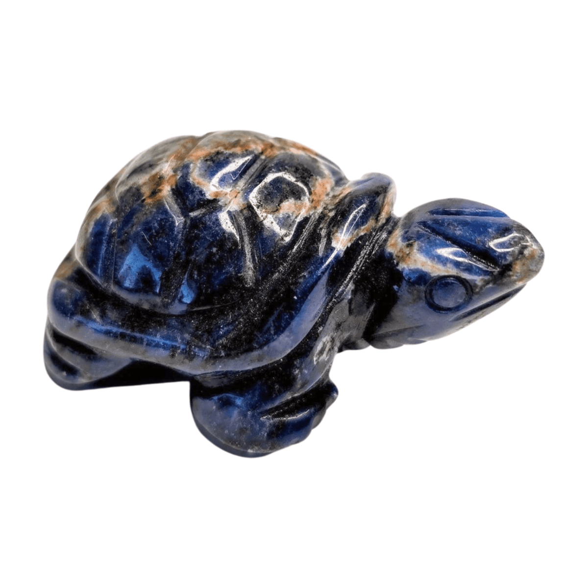 Sodalite Turtle
