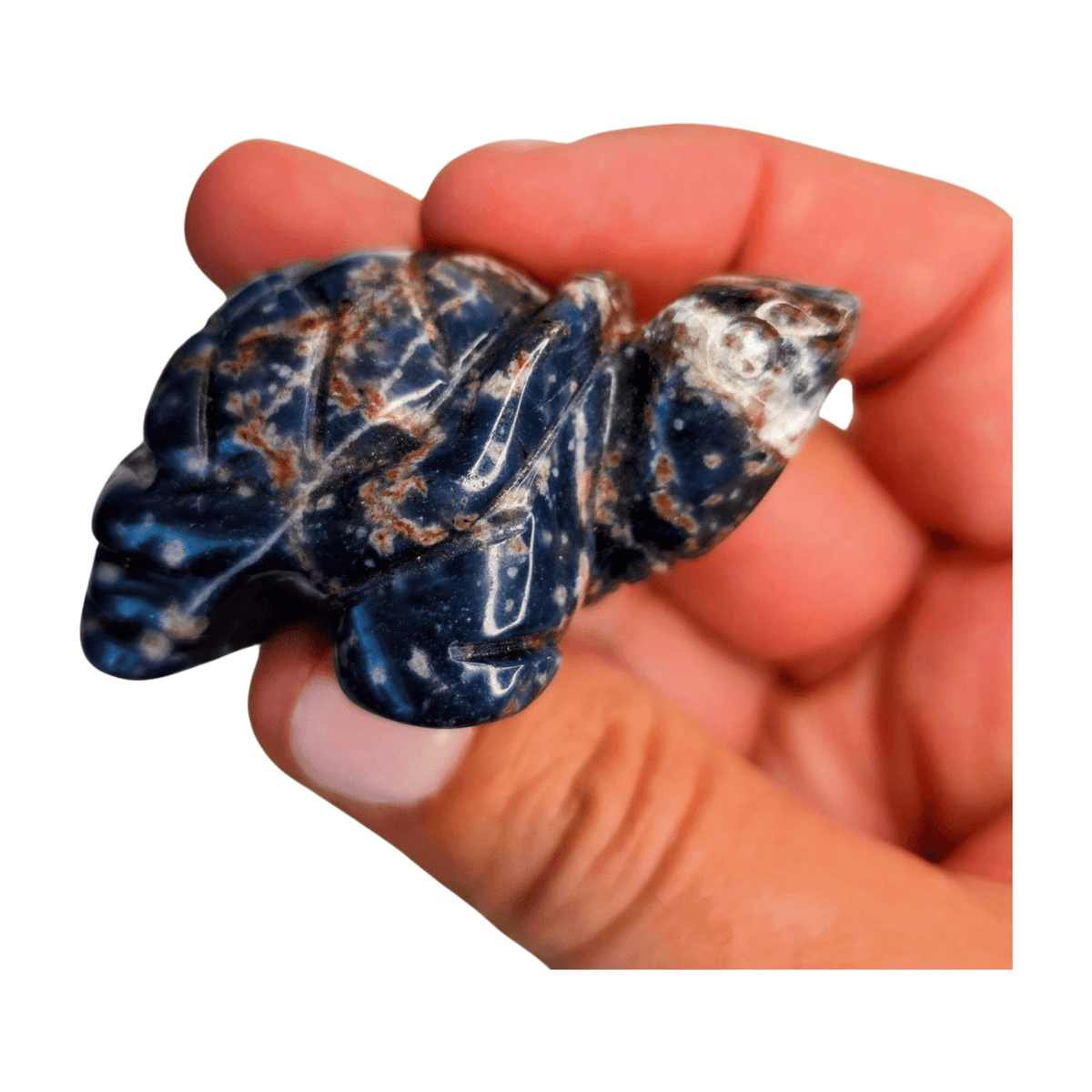 Sodalite Turtle