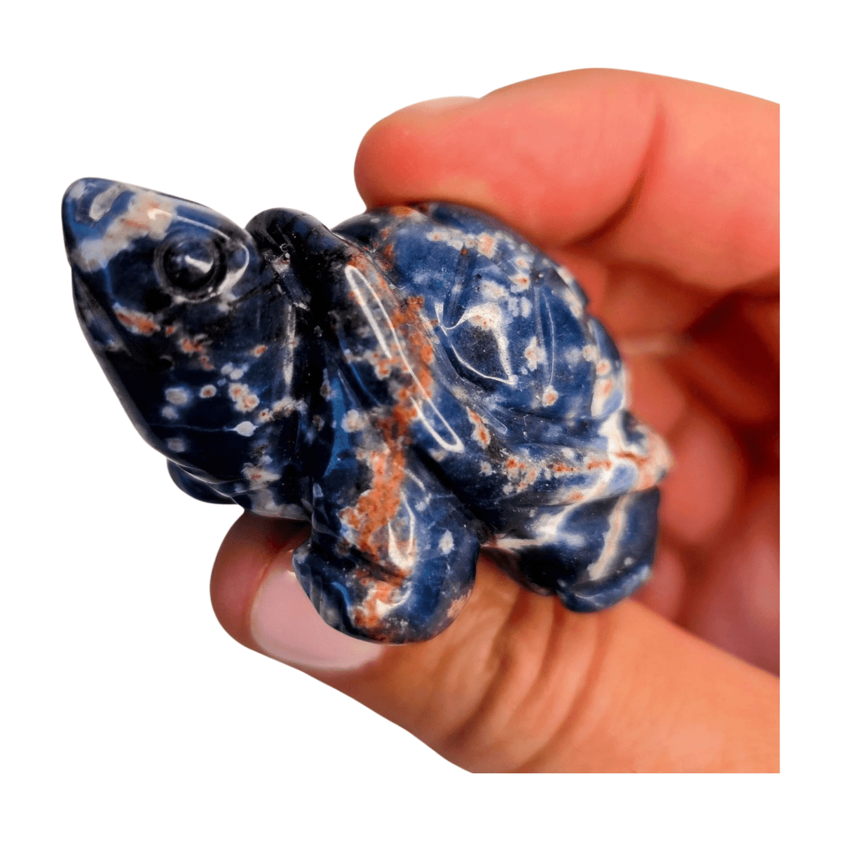 Sodalite Turtle