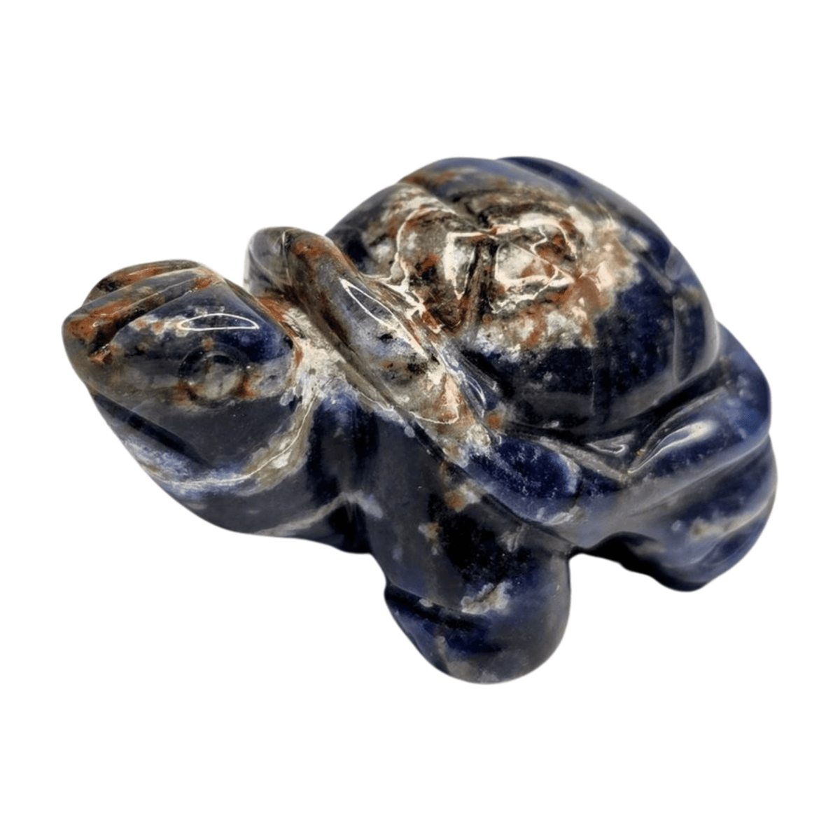 Sodalite Turtle