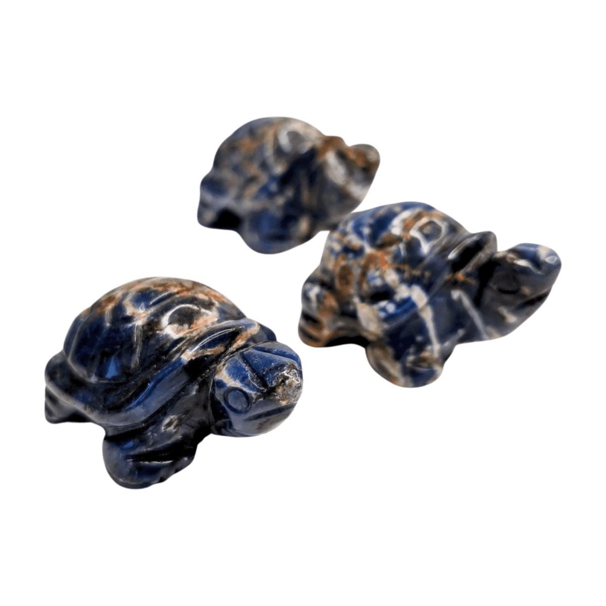 Sodalite Turtle