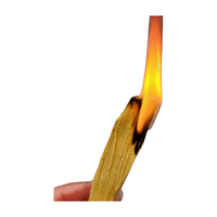 Cleansing Bundle - Selenite and Palo Santo