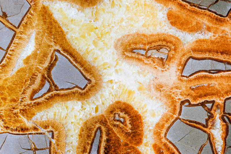 Septarian Meaning