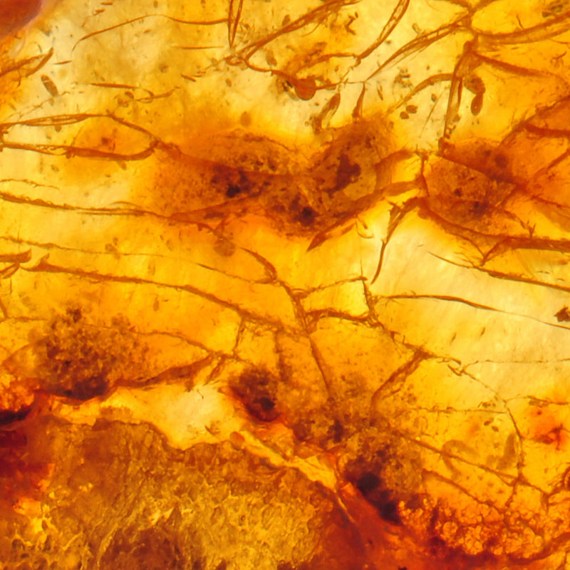 Amber