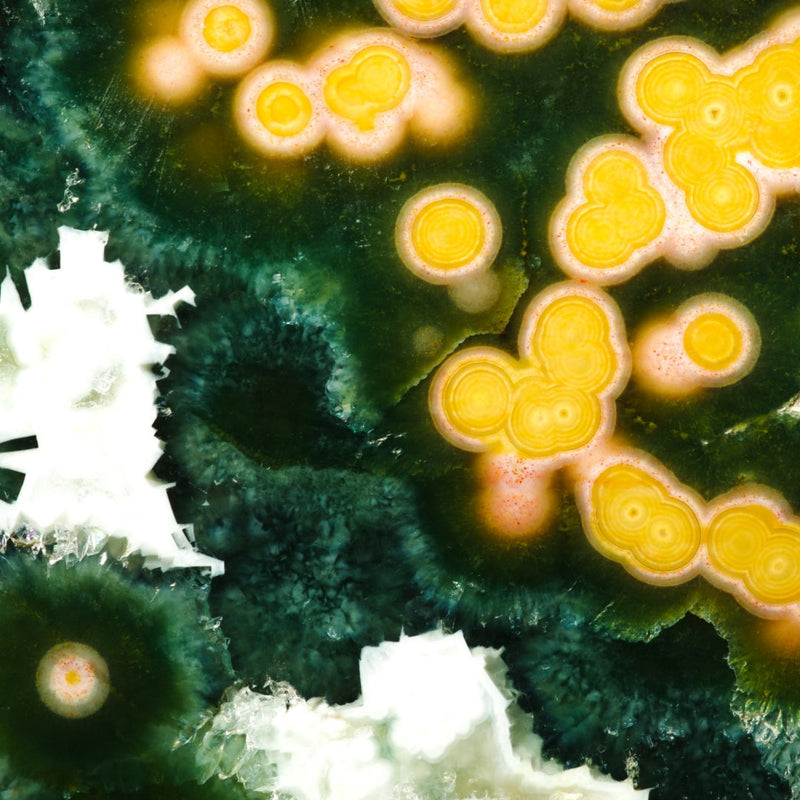 Ocean Jasper